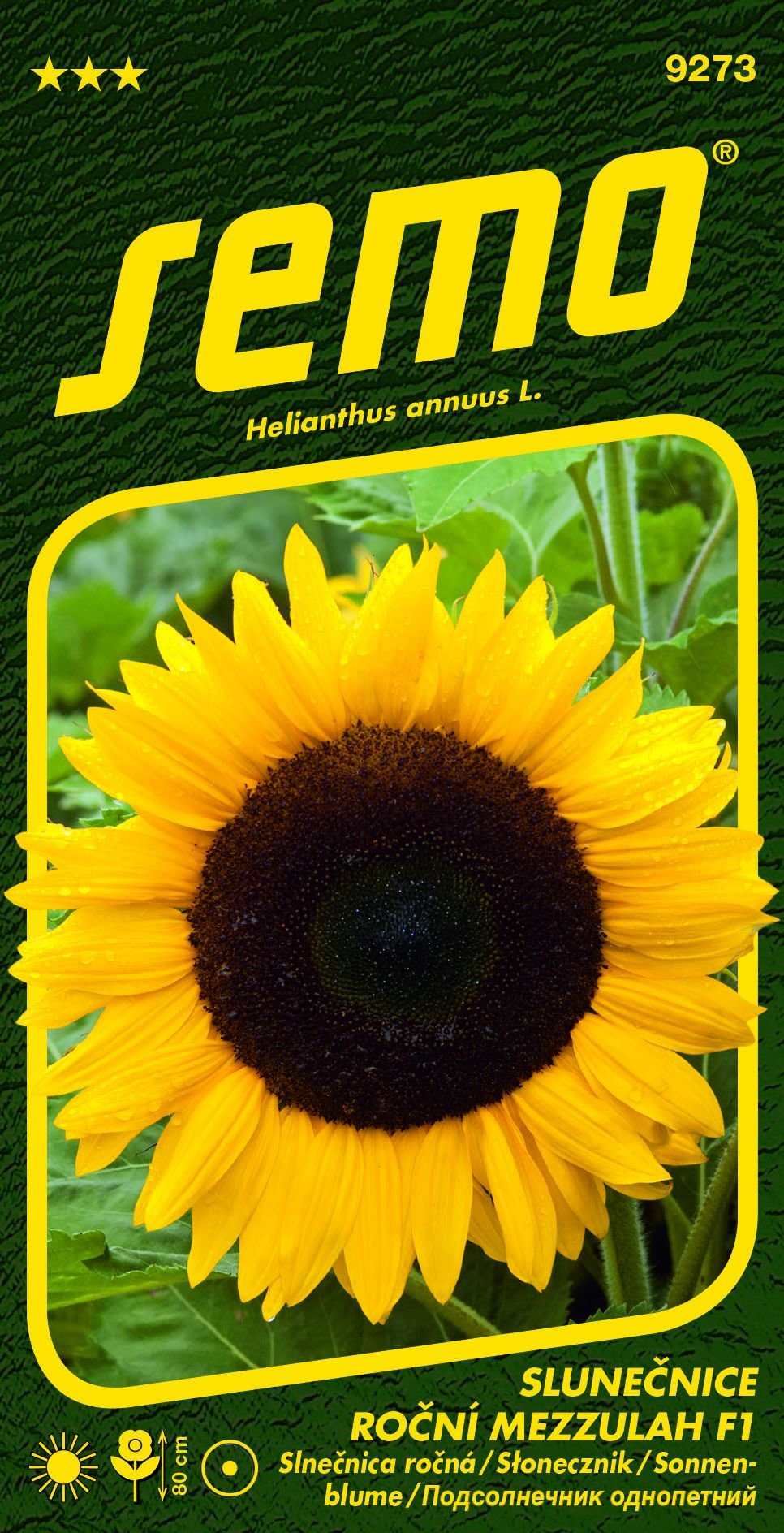 Slunečnice bez pylu Mezzulah F1