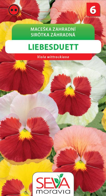 Maceška Liebesduett