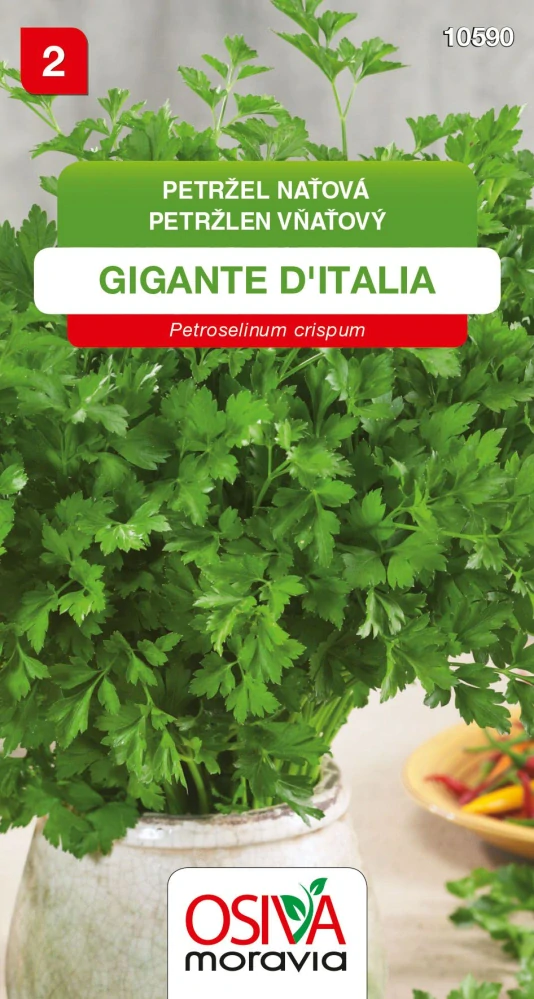 Petržel naťová Gigante d´Italia