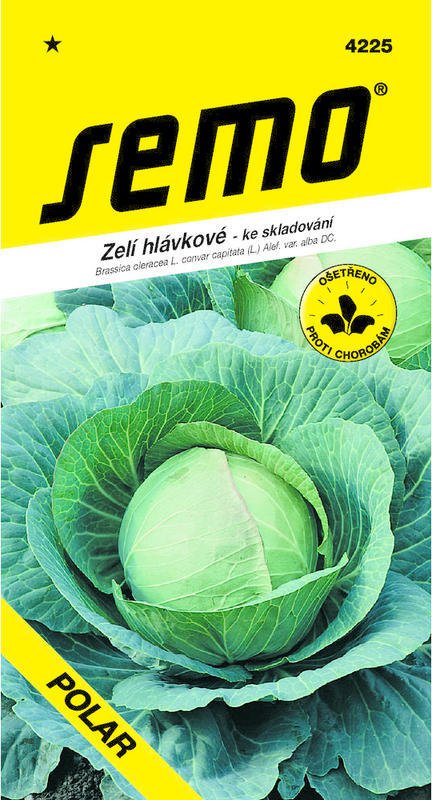 Zelí bílé ke skladování Polar