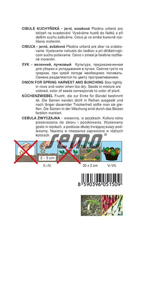 Cibule svazková směs barev