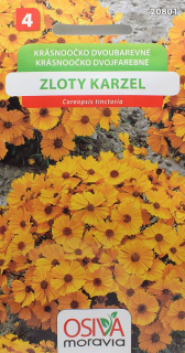 Krásnoočko dvoubarevné
