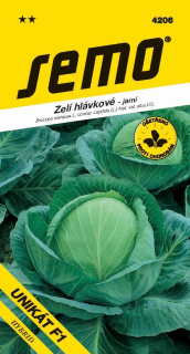 Zelí bílé velmi rané
