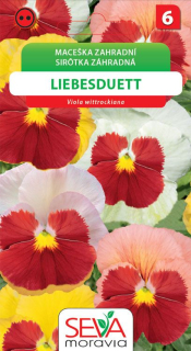 Maceška Liebesduett