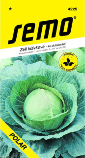Zelí bílé ke skladování Polar