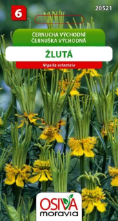 Černucha východní