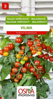 Rajče keříčkové balkonové Vilma