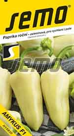 Paprika světle zelená Amykus F1