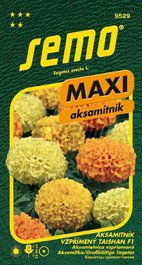 Aksamitník vzpřímený maxi