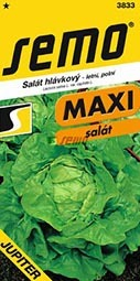 Salát letní Maxi Jupiter