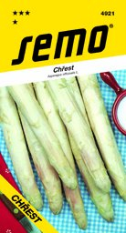 Asparagus - chřest