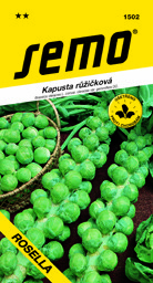 Kapusta růžičková mrazuvzdorná
