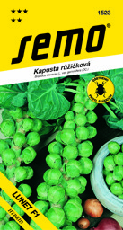 Kapusta růžičková F1