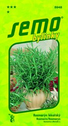Rozmarýn lékařský