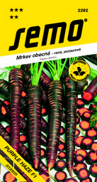 Mrkev fialová poloraná Purple Haze F1
