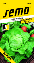 Salát celoroční Saturion