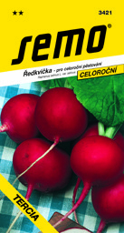 Ředkvička celoroční Tercia