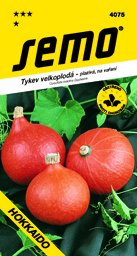 Dýně hokkaido na vaření Orange
