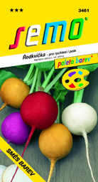 Ředkvička směs barev