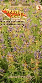 Včelník moldavský