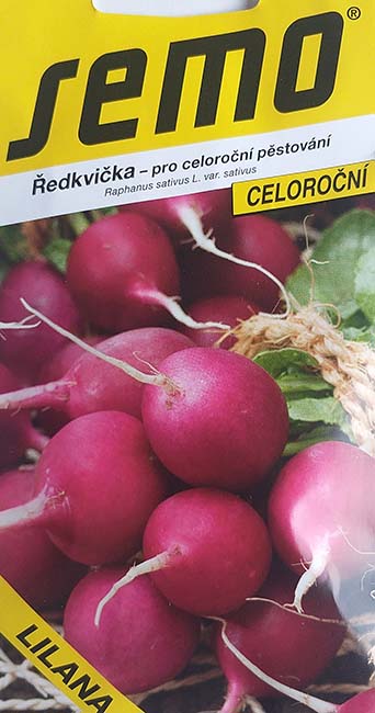 Ředkvička celoroční Lilana