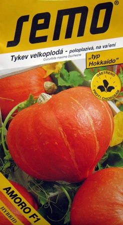 Dýně hokkaido na uskladnění