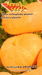Dýně veltruská obrovská