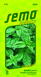 Bazalka širokolistá Dark green