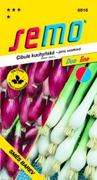 Cibule svazková směs barev