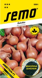 Cibule Šalotka