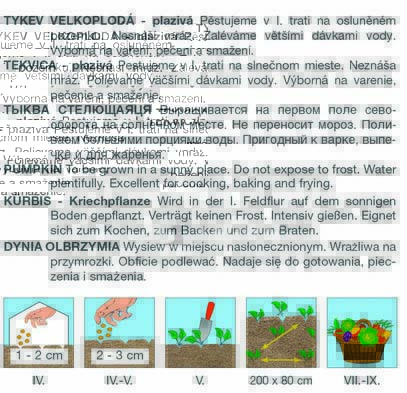 Dýně hokkaido směs barev