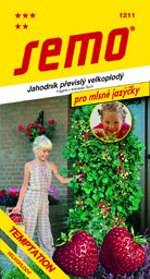 Jahoda převislá lahůdková