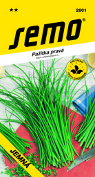 Pažitka do truhlíku Erecta