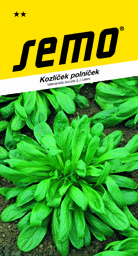 Kozlíček polníček